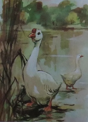 ��������� 5 �����. ����������� �������� (�� �������� �. �. ������ ������ �����)